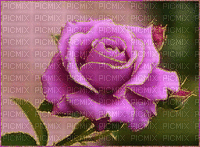 Flores - Ücretsiz animasyonlu GIF