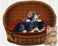 Kittens and Pet Bed - Безплатен анимиран GIF