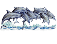 Delfin - PNG gratuit