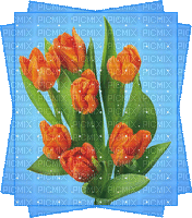 fleurs 002 gif - Δωρεάν κινούμενο GIF