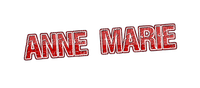 Kaz_Creations Name-Text-Anne-Marie-Colours - zdarma png
