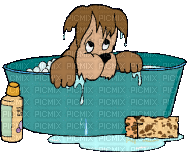 bath time bp - Darmowy animowany GIF