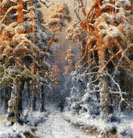 Rena Winter Forest Wald Background Hintergrund - PNG gratuit