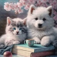 Hund und Katze - zadarmo png