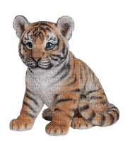 tiger bp - darmowe png