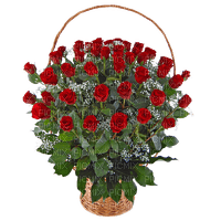 róże - 免费PNG
