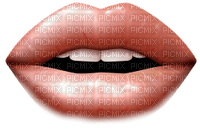 lips - 免费PNG