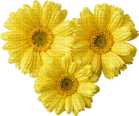 kwiaty - бесплатно png