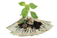 money tree bp - Besplatni animirani GIF