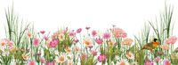 loly33 fleur printemps - бесплатно png