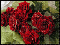 rosas by EstrellaCristal