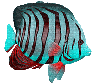рыбы - Gratis geanimeerde GIF