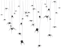 Hanging.Spiders.Black - 免费PNG