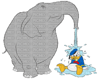 Elephant - GIF animado gratis