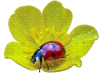 spring printemps frühling primavera весна wiosna tube deco ladybug marienkäfer insect  coccinelle garden jardin flower fleur - PNG gratuit