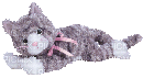kitty - Nemokamas animacinis gif