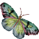 mariposa - Gratis animeret GIF