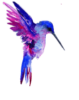 Птица ; акварель - PNG gratuit