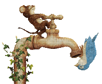 spring printemps water tap robinet  tube deco bird oiseau mouse garden jardin summer ete gif anime animated maus animal souris - Free animated GIF