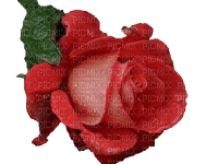 Róża deco2 - 免费PNG