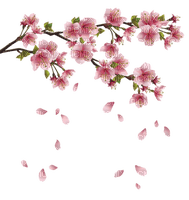 Kaz_Creations Flowers Branch Petals Spring - безплатен png