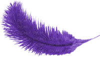 purple feather - nemokama png