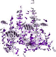soave deco underwater animated fish purple - Zdarma animovaný GIF