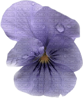 kikkapink purple flower - png ฟรี