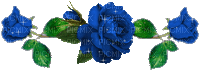 синие розы - Free animated GIF