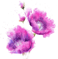 Y.A.M._Art Summer Flowers Decor - bezmaksas png
