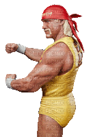 Hulk Hogan - Free animated GIF