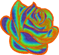 szivárvány rózsa - GIF animado grátis