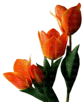 Kaz_Creations Deco Flowers Tulips Flower - gratis png