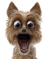 loly33 chien - zdarma png