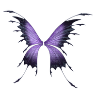 Fairy Wings - 無料png