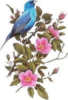 Птица на цветах - 免费PNG