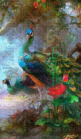 Peacock - Ingyenes animált GIF