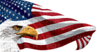 Kaz_Creations USA American Independence Day - 無料png