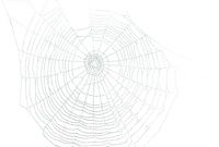 spiderweb - png ฟรี