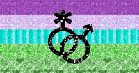Toric Pride flag with symbol glitter - Gratis animerad GIF