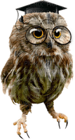 Kaz_Creations Owls Owl - δωρεάν png