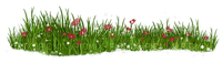 kikkapink deco grass flowers scrap red green - png grátis