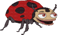 beetle - GIF animado gratis