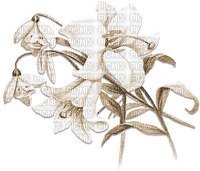 soave deco branch flowers spring lilies sepia - Free PNG
