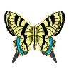 Mariposa - GIF animado grátis