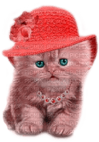 Y.A.M._Cat - Free PNG