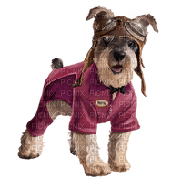 Kaz_Creations Dogs Dog Pup 🐶 - δωρεάν png