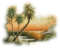 tropical trees bp - 免费PNG