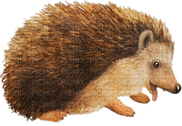 Tiere - zdarma png