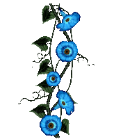 Blumen-Flowers-fleurs - Δωρεάν κινούμενο GIF